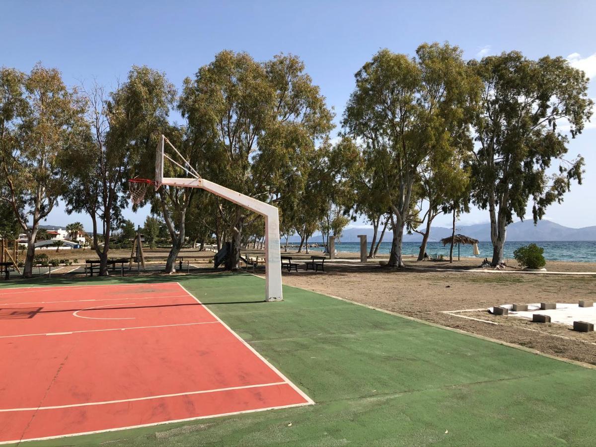 Denni ארמיוני